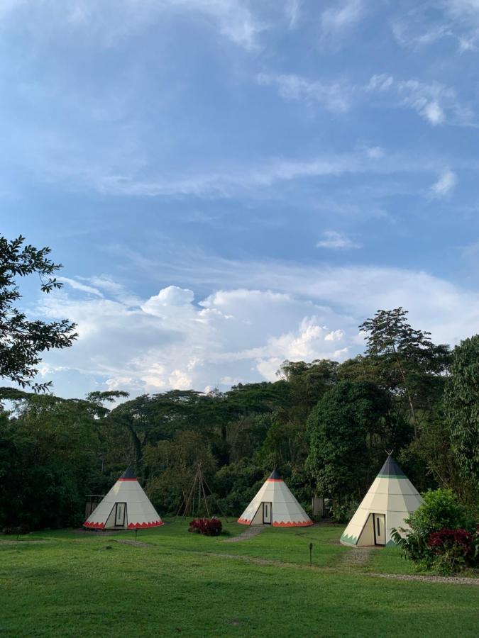 מלון לה מסה Bosque De Aventura & Glamping Refugio Del Bosque מראה חיצוני תמונה